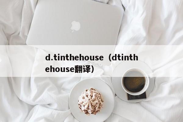 d.tinthehouse（dtinthehouse翻译）